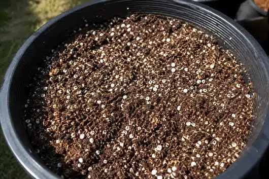 Semillas Autoflorecientes CBD: guía de cultivo y cosecha 23 Tierra para plantar semillas de cbd rica en nutrientes y perlita.