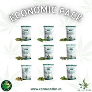 PACK COGOLLOS CBD
