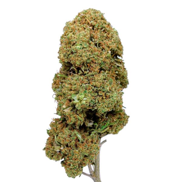 Flores - Economic Pack - 9g 2 BUDDHA KUSH CBD