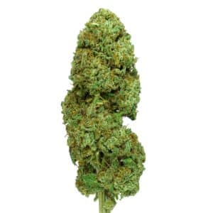 COGOLLOS CBD SWEET KUSH