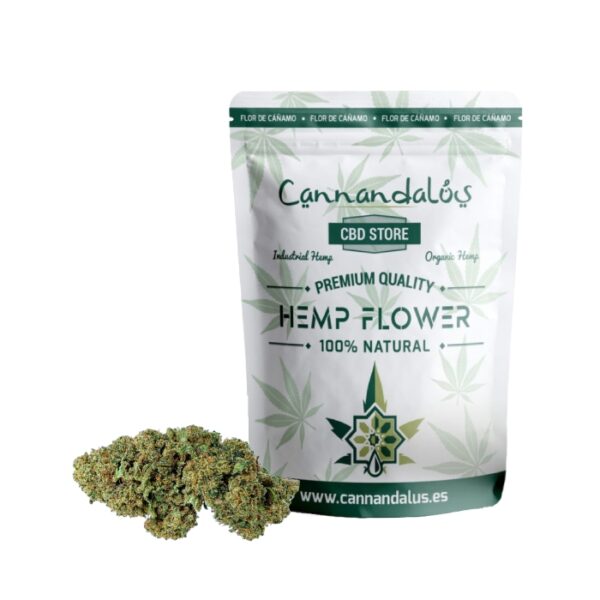 Flor - Sweet Candy 1 SWEET CANDY