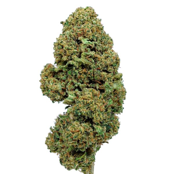 Flores - Economic Pack - 9g 1 SWEET CANDY