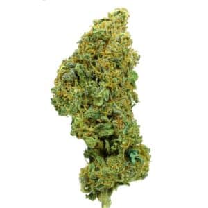 COGOLLOS CBD Blueberry Muffin