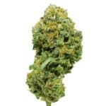COGOLLOS CBD Blueberry Muffin
