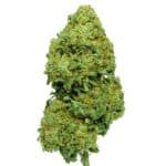 SUNDAE OG FLOR CBD CANNANDALUS