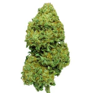 SUNDAE OG FLOR CBD CANNANDALUS