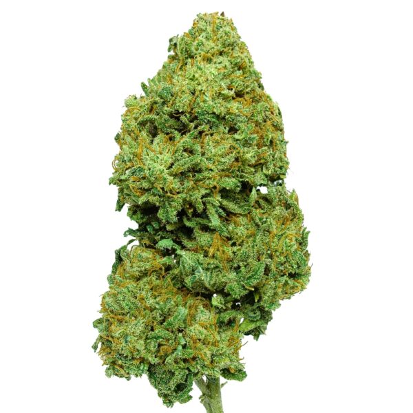 SUNDAE OG FLOR CBD CANNANDALUS