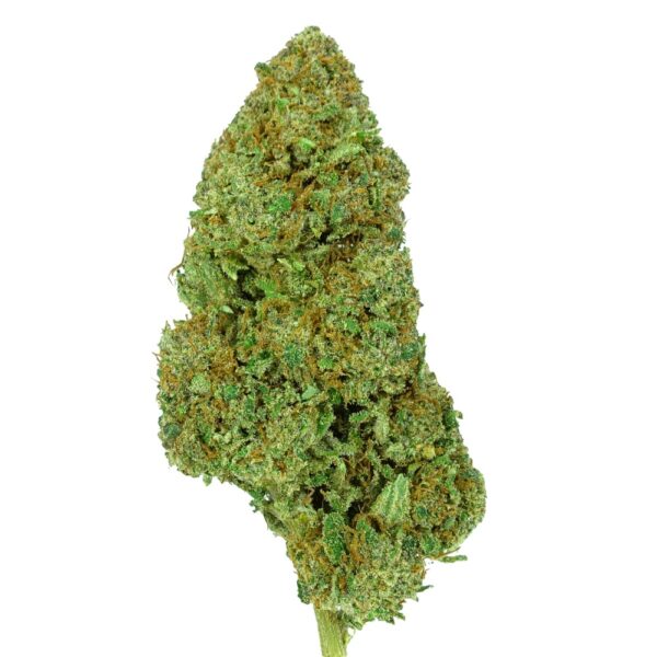 COGOLLOS CBD JACK DIESEL