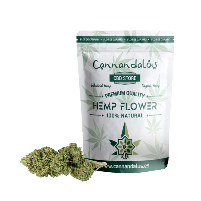 Mango Cbd