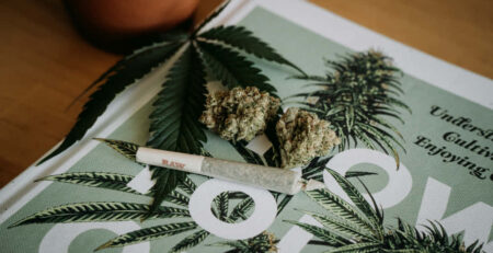 Noticias cannabis