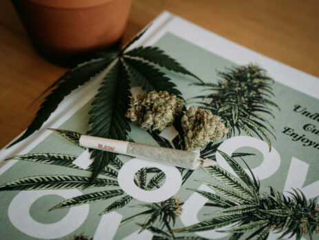 Noticias cannabis
