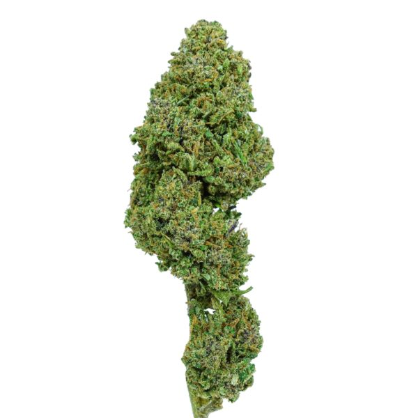 BUBBLE GUM CBD BUBBLE GUM CBD