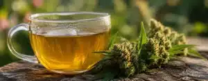 Inicio 66 Infusión De Té Junto A Flores De Cbd