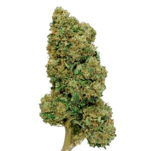 Flores - Greenhouse Pack - 9g 7 ZOMBIE KUSH CBD