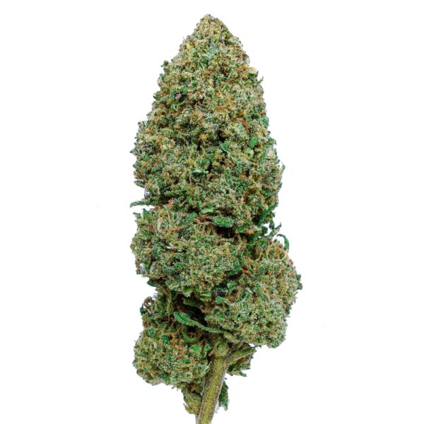 LEMON HAZE CBD LEMON HAZE CBD