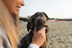 Inicio 71 Mujer con su perro en la playa. CBD para mascotas