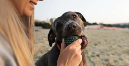 Mujer con su perro en la playa. CBD para mascotas