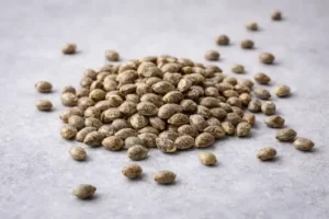 Inicio 86 Semillas automaticas cbd