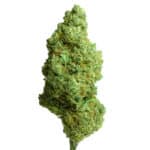 Critical Cookies CBD