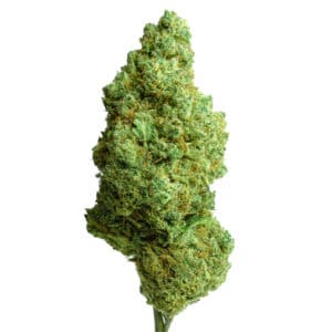 Critical Cookies CBD