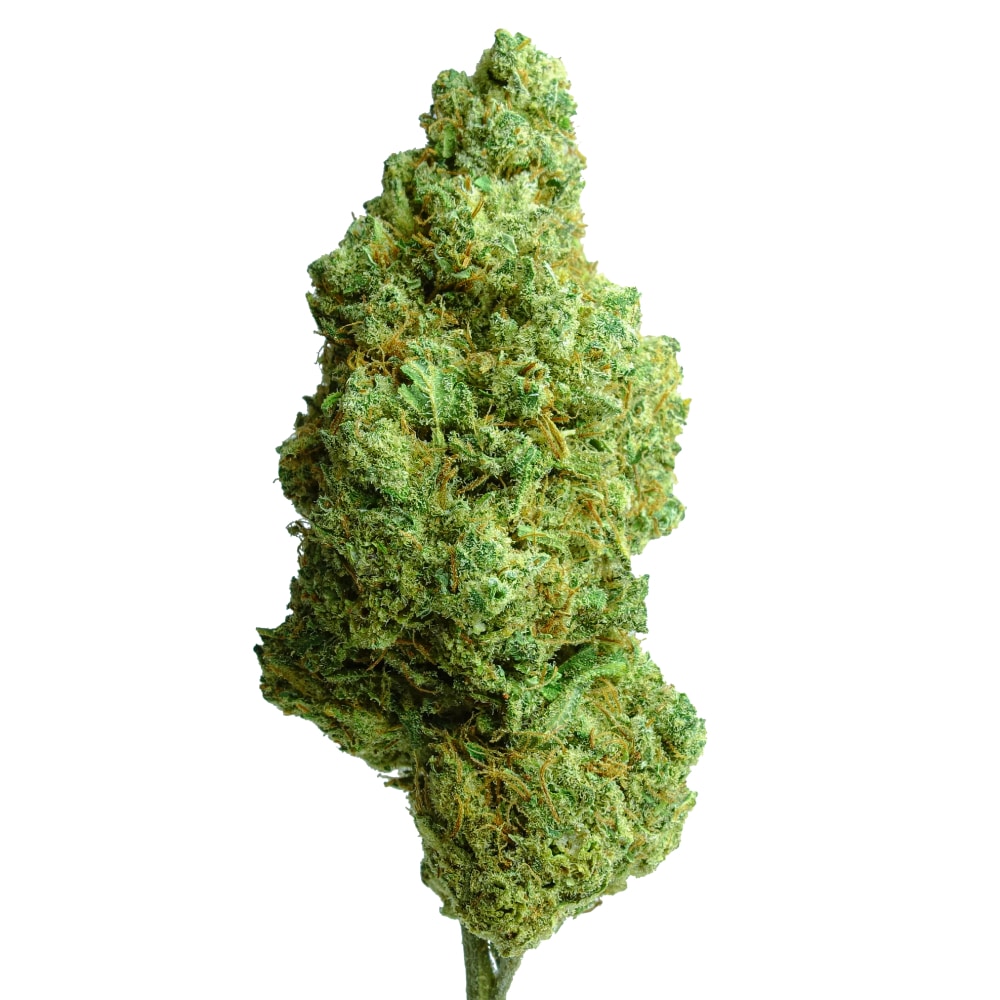 Critical Cookies CBD